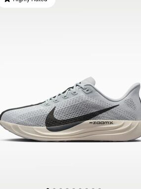 NWT Nike Pegasus Plus Men’s Running Shoes Platinum Gray 11